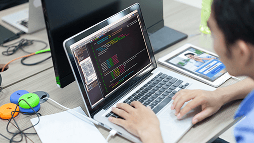 Software & Web Developer